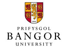 Bangor Logo A1